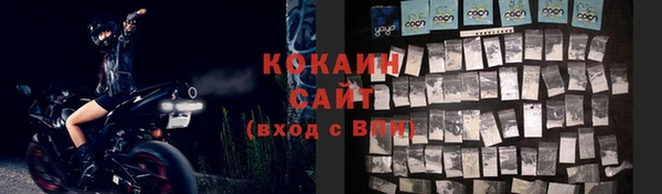 гашик Абаза