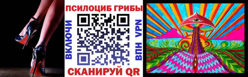 цена   Томилино  Псилоцибиновые грибы Psilocybine cubensis 